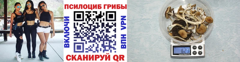 Псилоцибиновые грибы прущие грибы  Медвежьегорск 